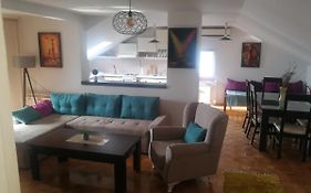 Apartment Nedic